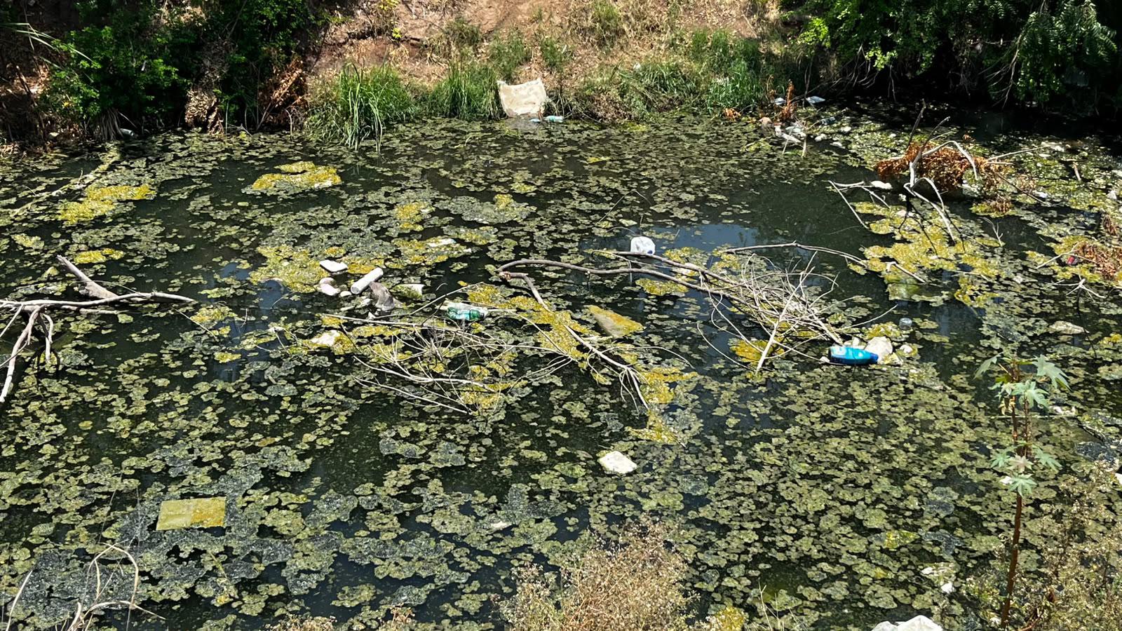 $!Entre basura, contaminación e invasión, se encuentra actualmente el arroyo Jabalines