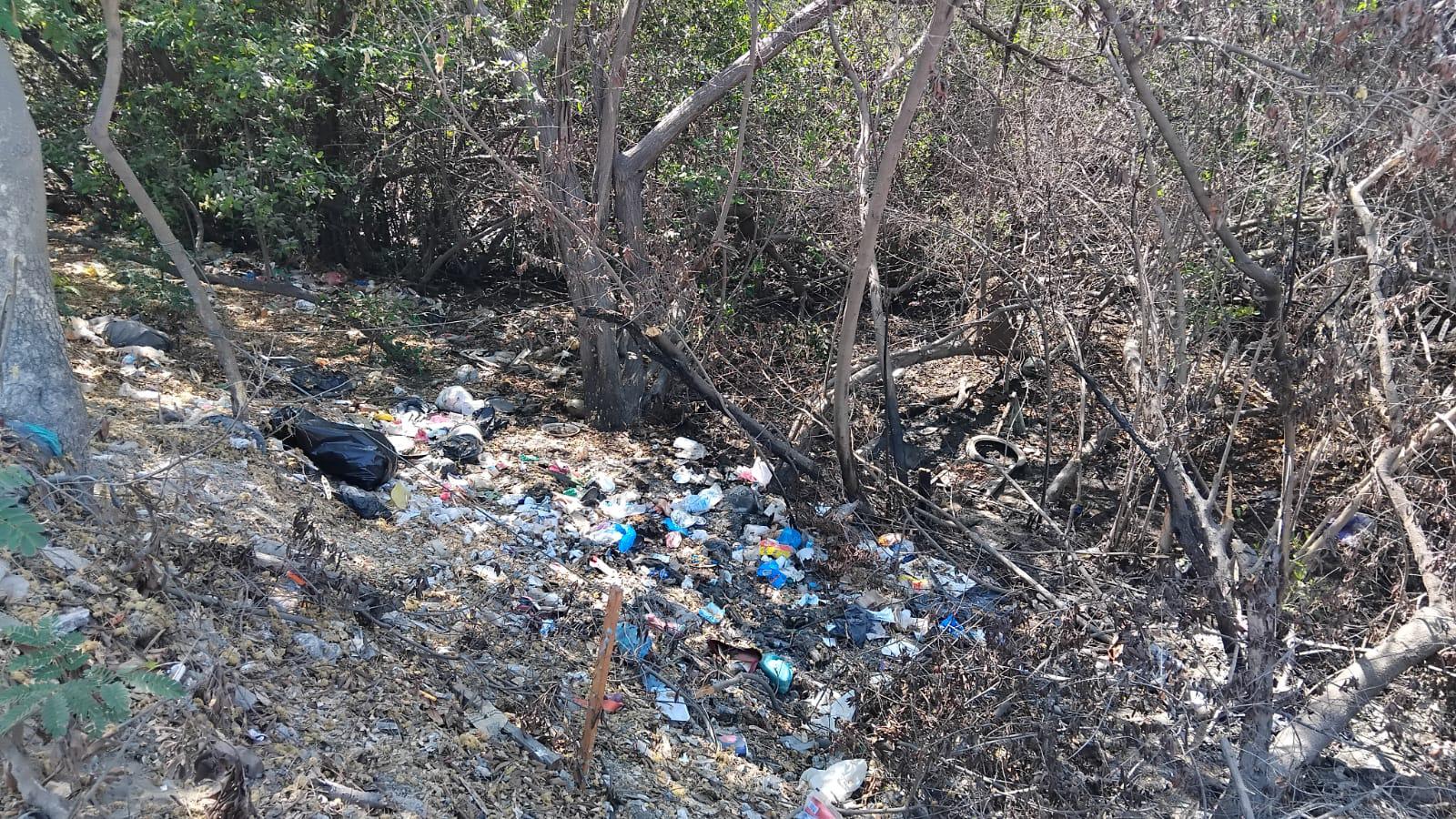 $!Entre basura e invasiones, el Estero del Infiernillo continúa en malas condiciones