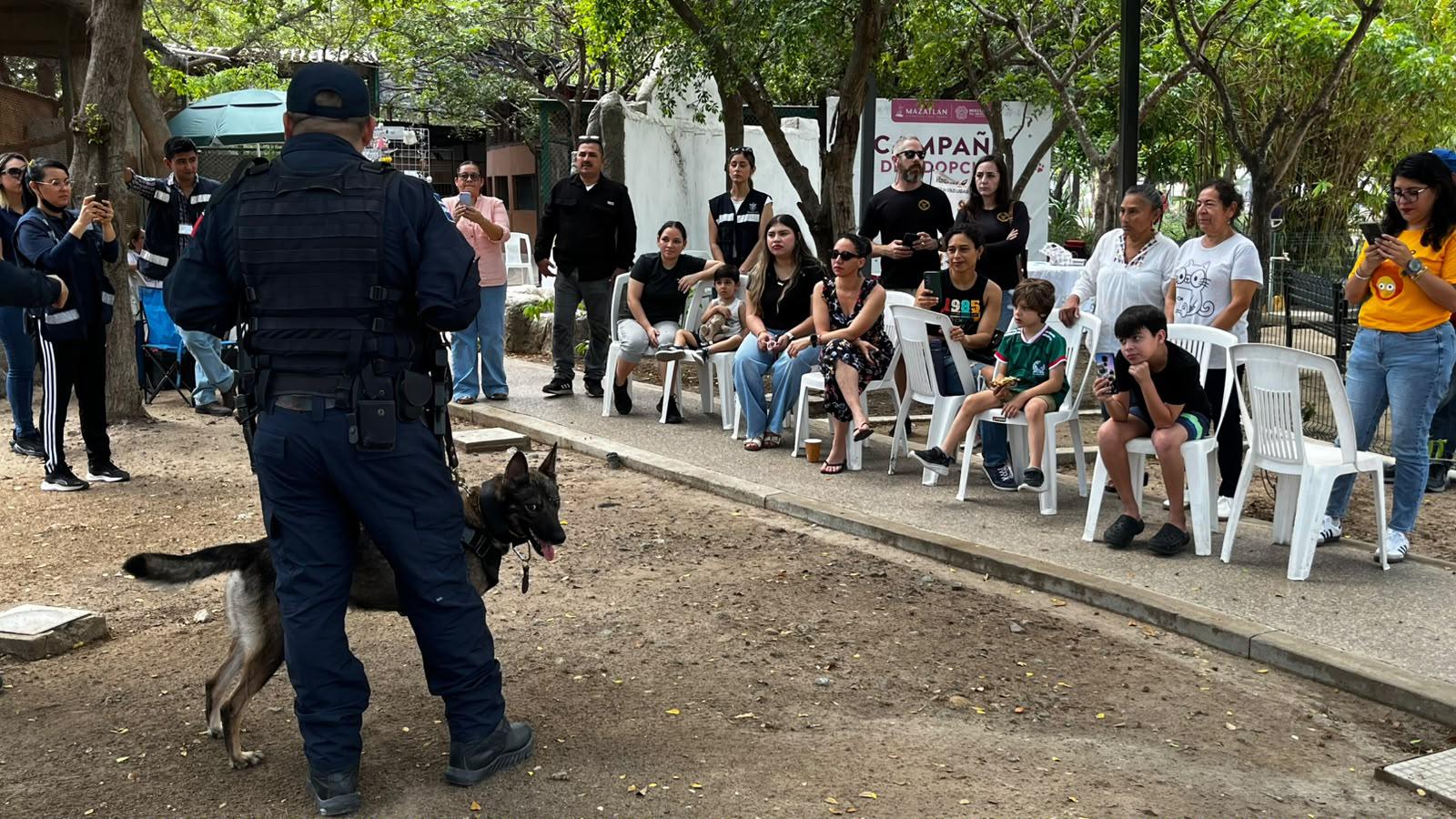 $!Encuentran hogar 7 mascotas en jornada de adopción en Mazatlán