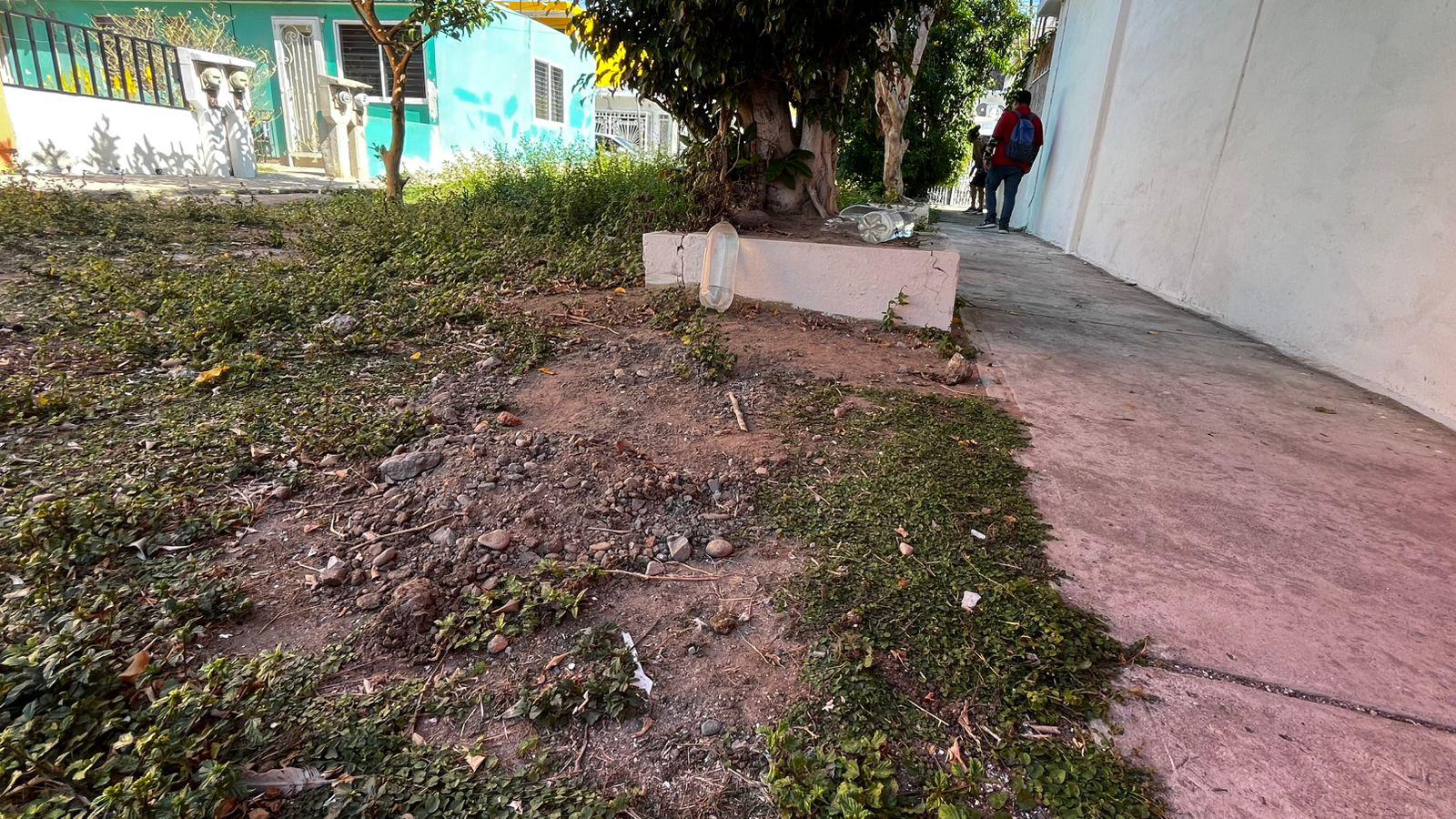 $!Denuncian vecinos de Infonavit Playas abandono masivo de gatos y focos de infección