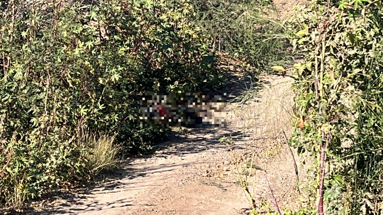 $!Localizan a hombre sin vida con huellas de violencia en Campo Balbuena, Navolato