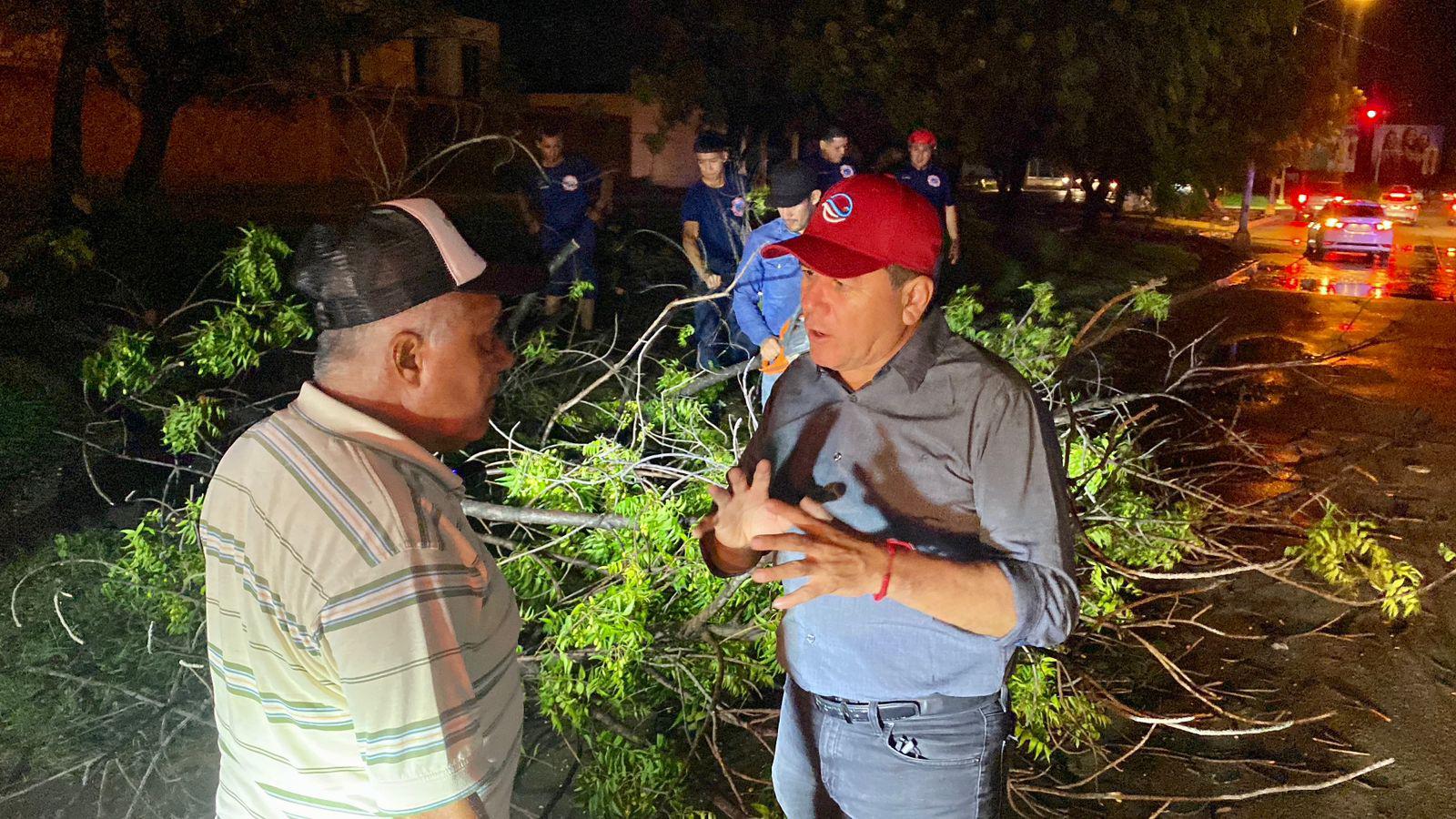 $!Lluvia y viento provocan caída de más de 60 árboles y anuncios, daños en vehículos y apagones