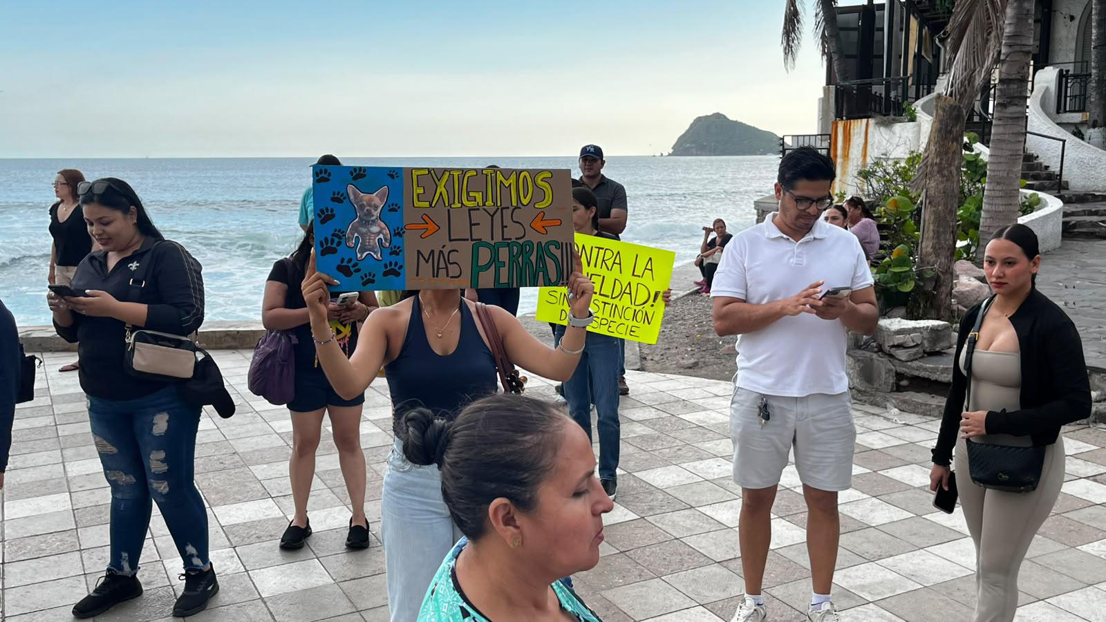 $!Realizan marcha en contra del maltrato animal en la Avenida del Mar, en Mazatlán