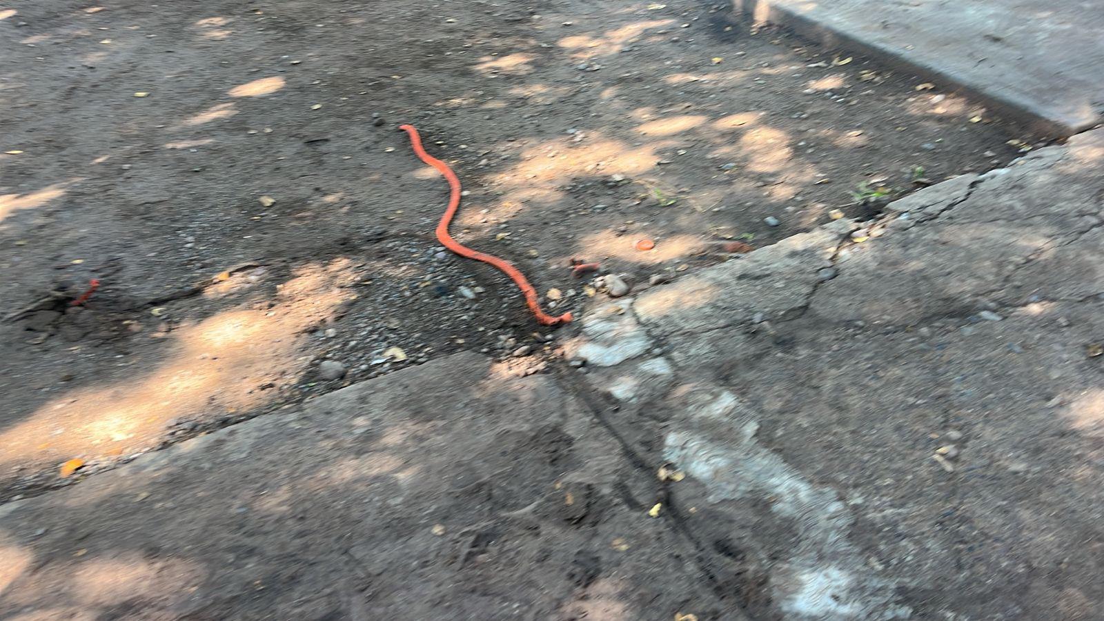 $!Escuela se deslinda de obra eléctrica tras muerte de madre de familia