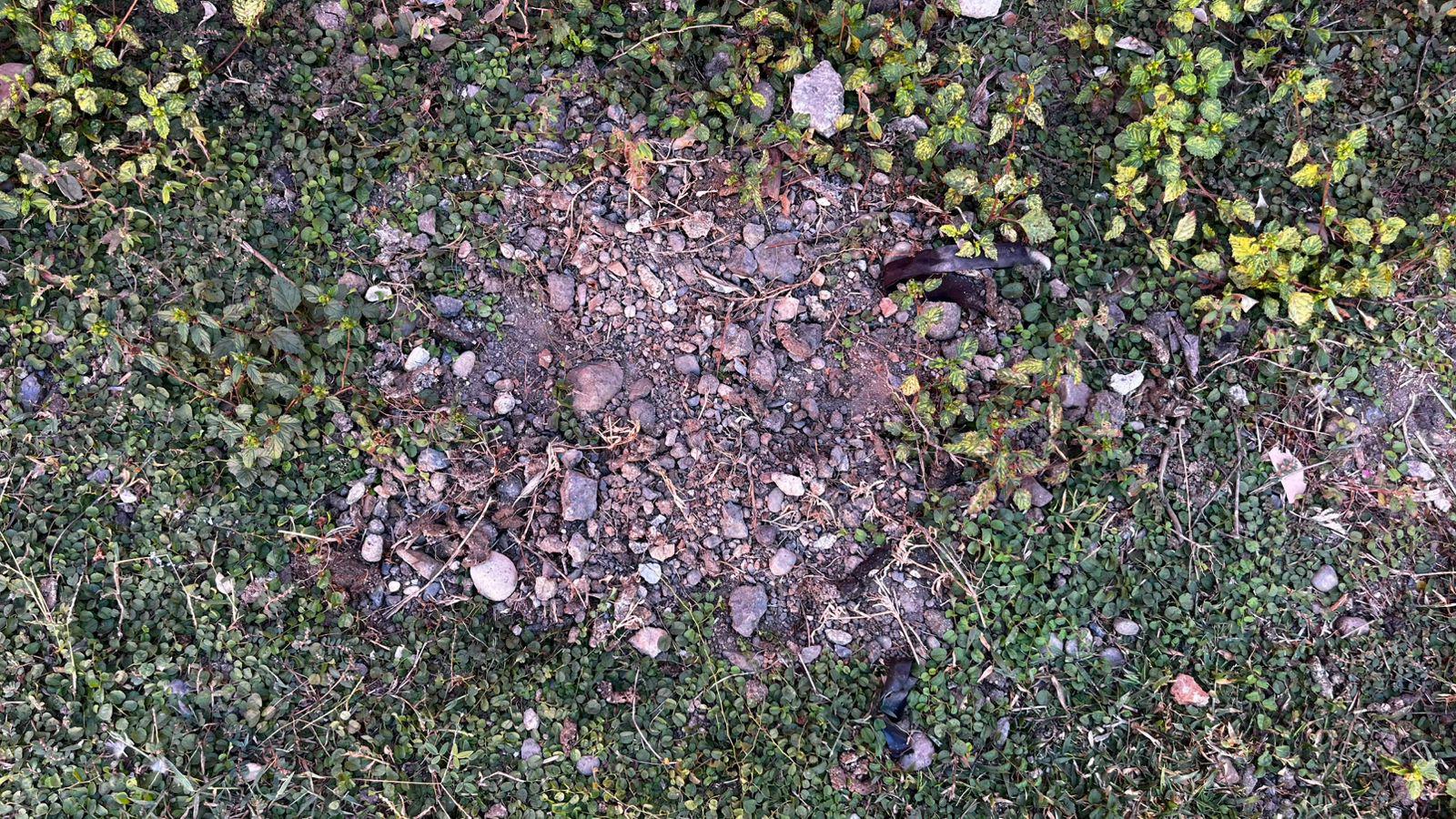 $!Denuncian vecinos de Infonavit Playas abandono masivo de gatos y focos de infección