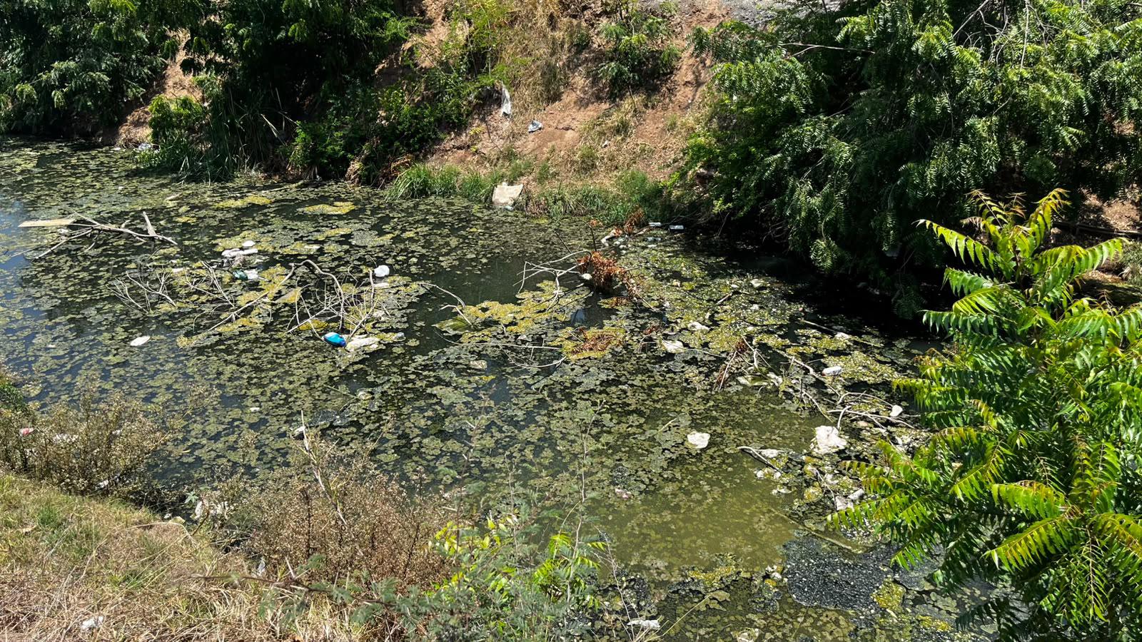 $!Entre basura, contaminación e invasión, se encuentra actualmente el arroyo Jabalines