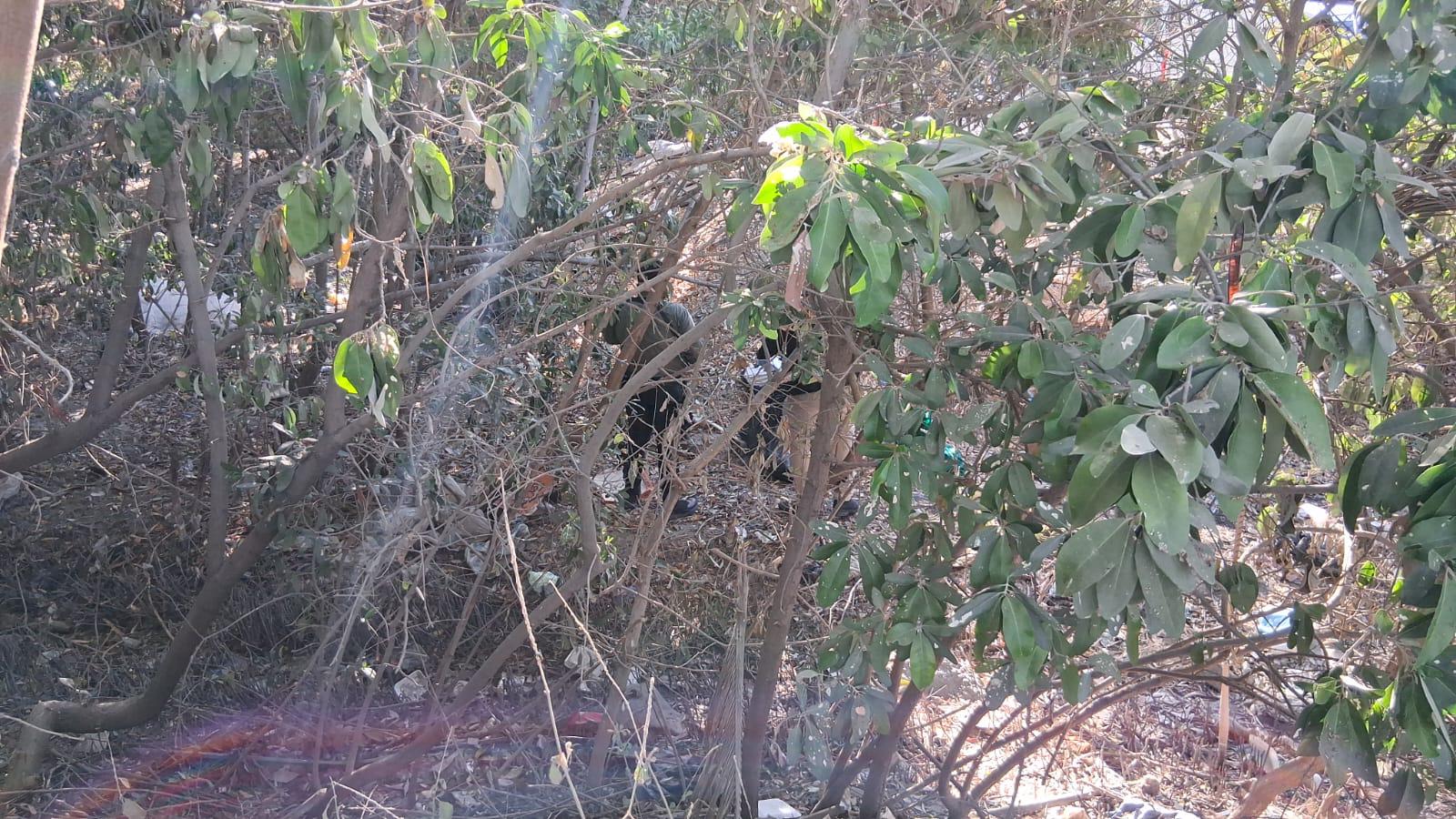 $!Localizan cuerpo sin vida y emplayado en el parque de las avenidas Grijalva y Juan Pablo II, en Mazatlán