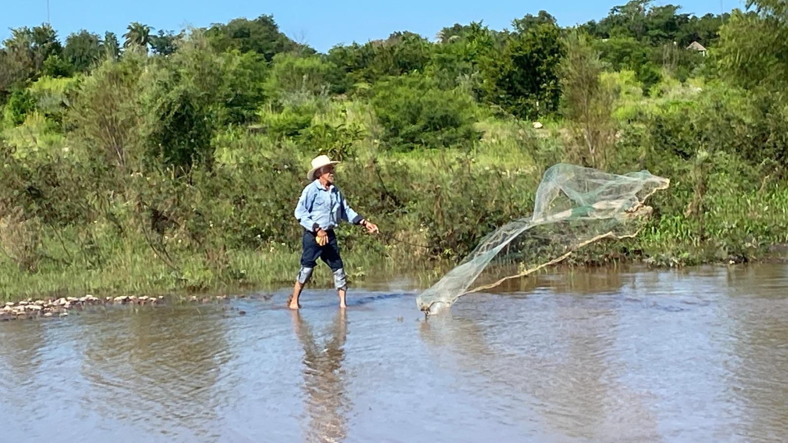 $!Hermilo busca con su atarraya capturar las bondades del río Baluarte en Rosario