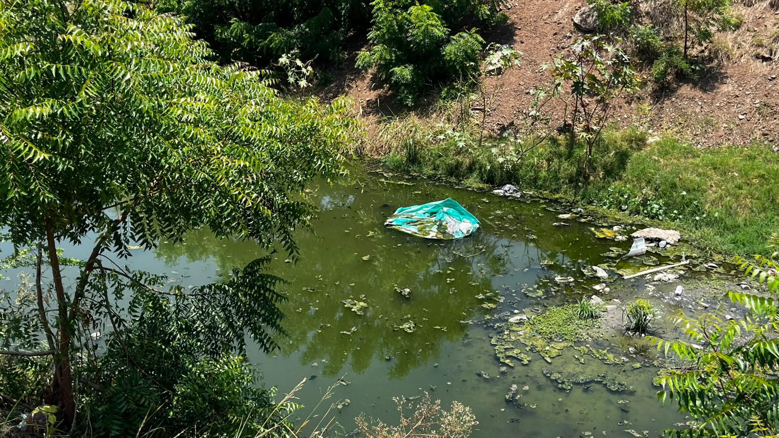 $!Entre basura, contaminación e invasión, se encuentra actualmente el arroyo Jabalines
