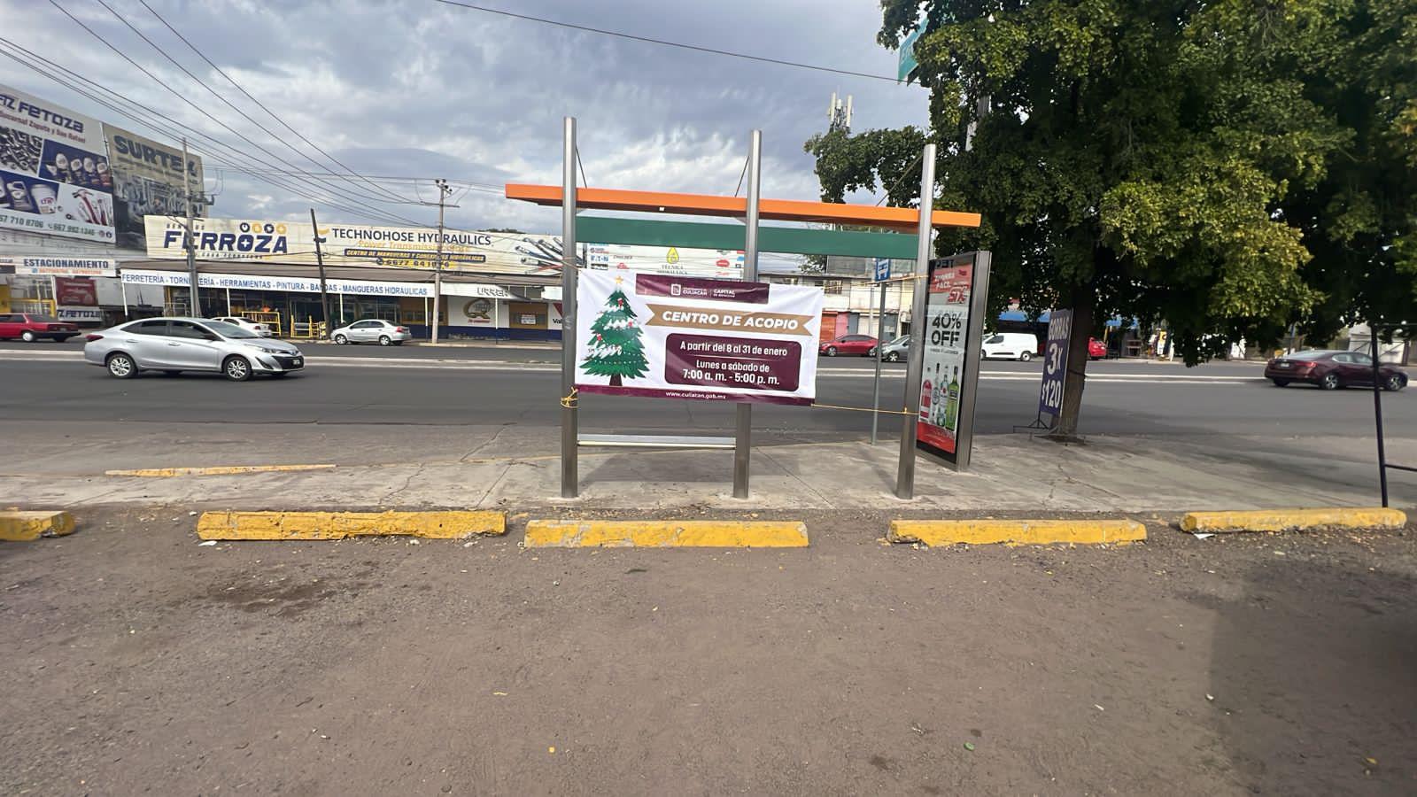 $!Culiacán dispone de 13 centros de acopio para pinos de Navidad