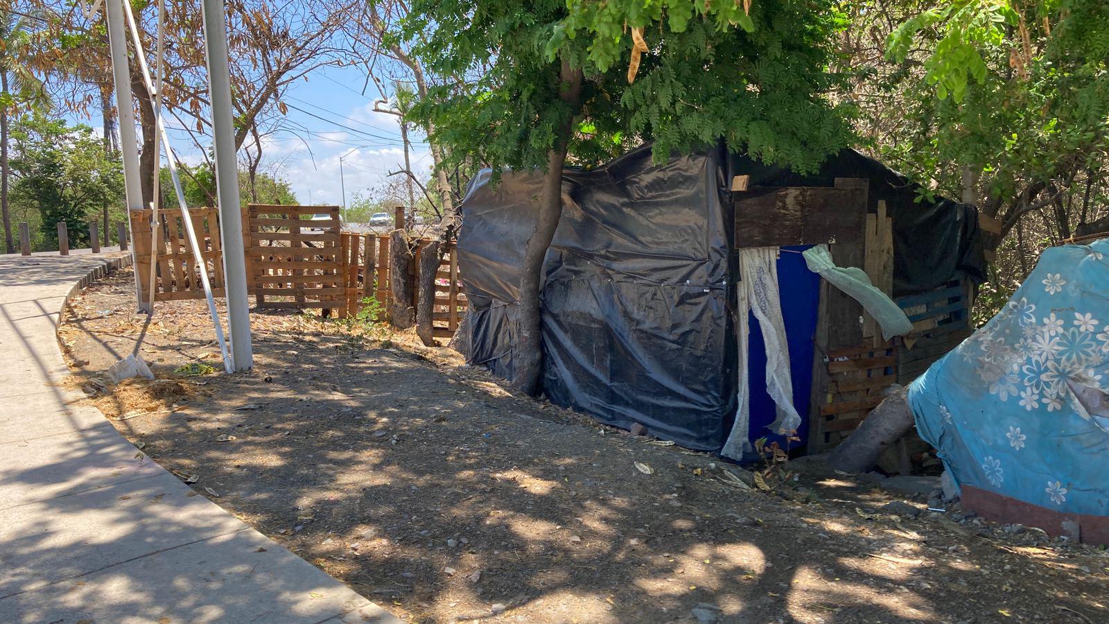 $!Denuncian omisión de autoridades ante tala de mangle en Estero del Infiernillo