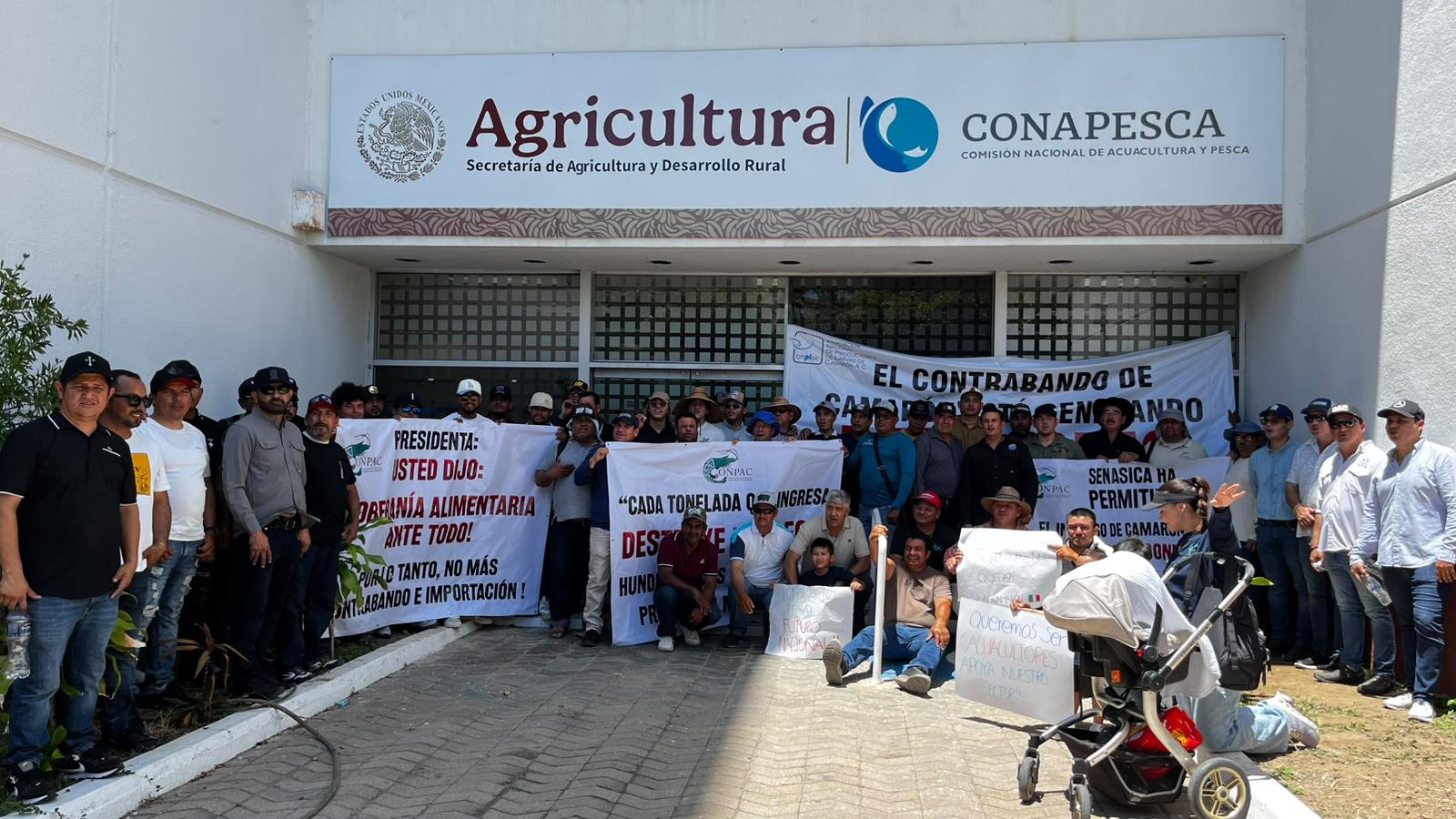 $!Productores buscan reunirse con la Presidenta Claudia Sheinbaum para pedirle cierre fronteras al camarón