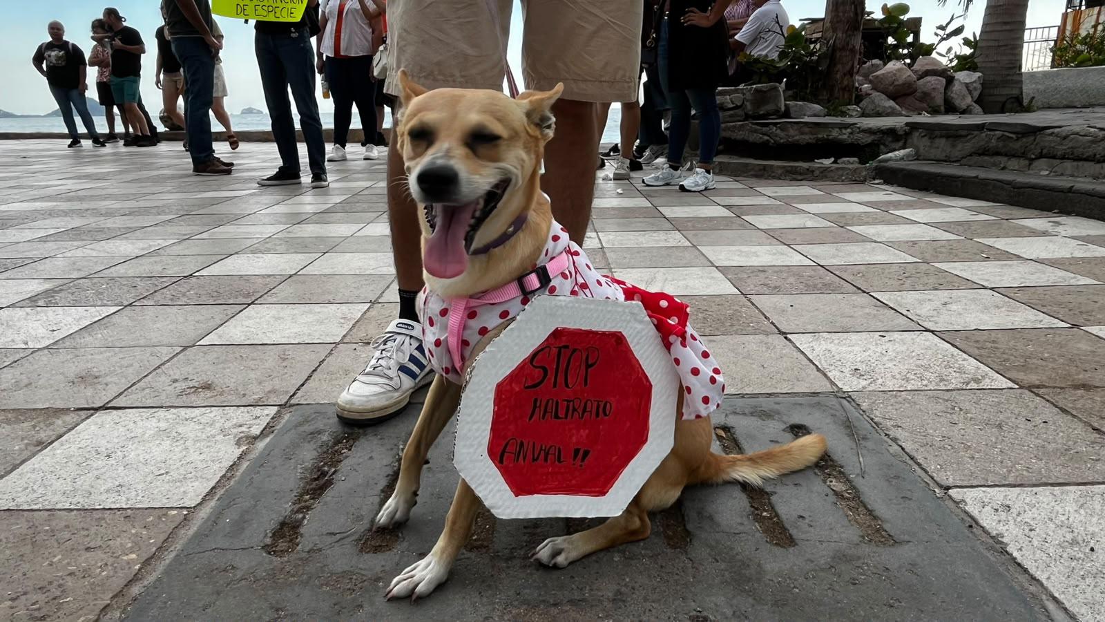 $!Realizan marcha en contra del maltrato animal en la Avenida del Mar, en Mazatlán