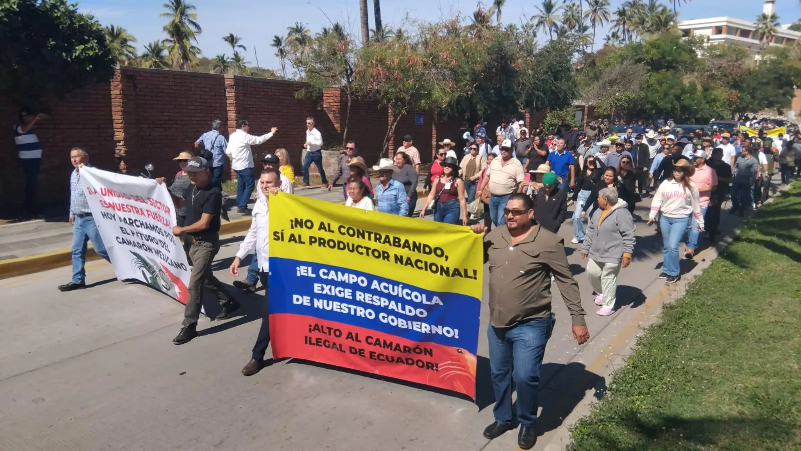 $!Marchan acuacultores en Mazatlán contra las importaciones de camarón