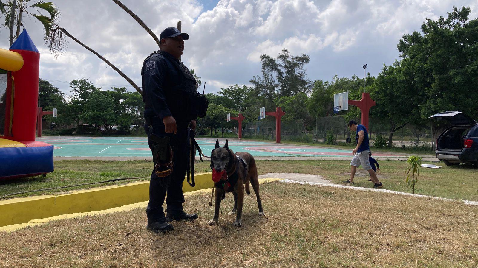 $!Elementos de la unidad K9 muestra su labor y convive con niñas y niños del Programa Vacacional 2025 del SNTSS