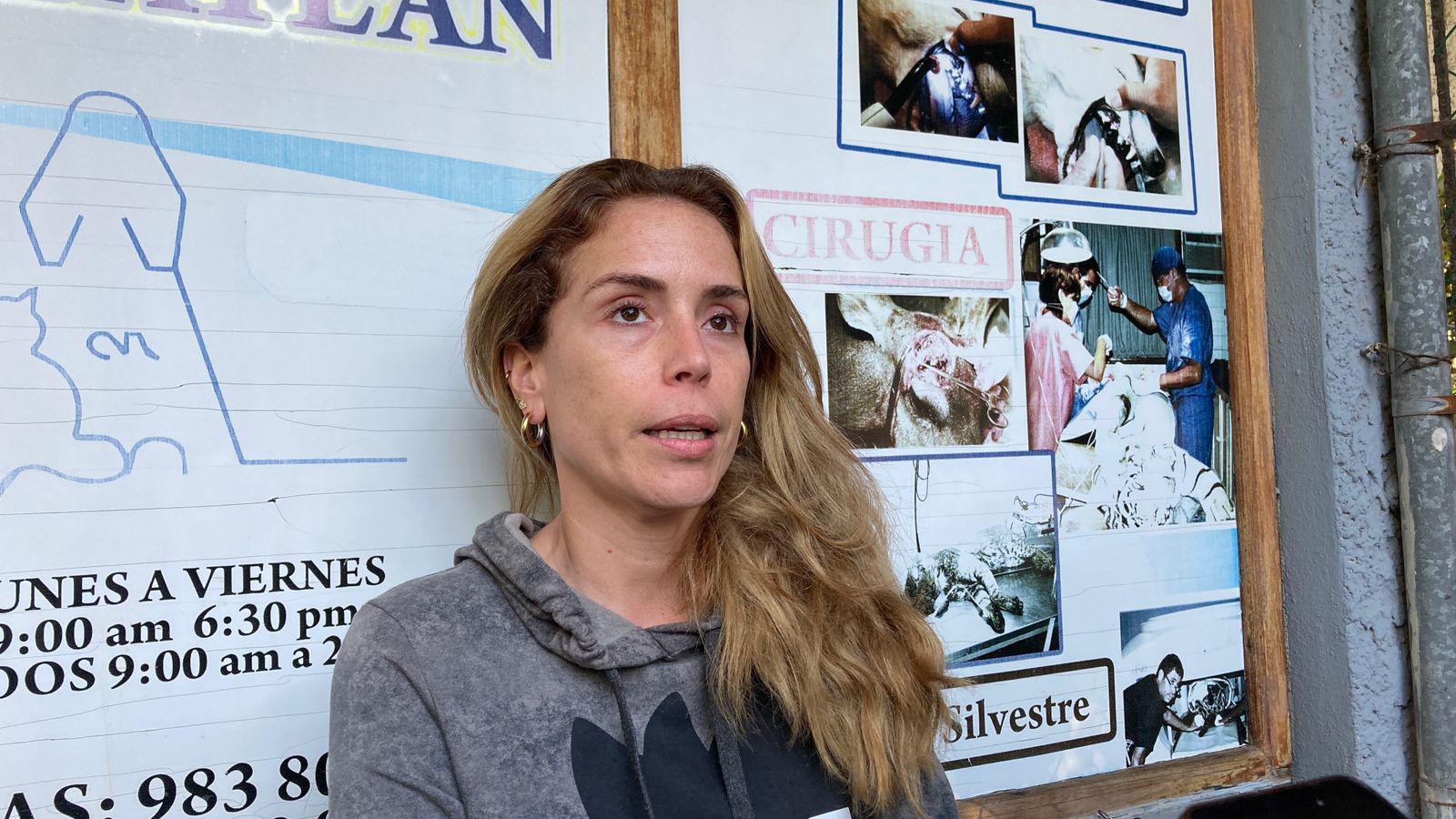 $!El perrito ‘Máster’ termina herido por la detonación de un explosivo tras un ataque violento en Mazatlán