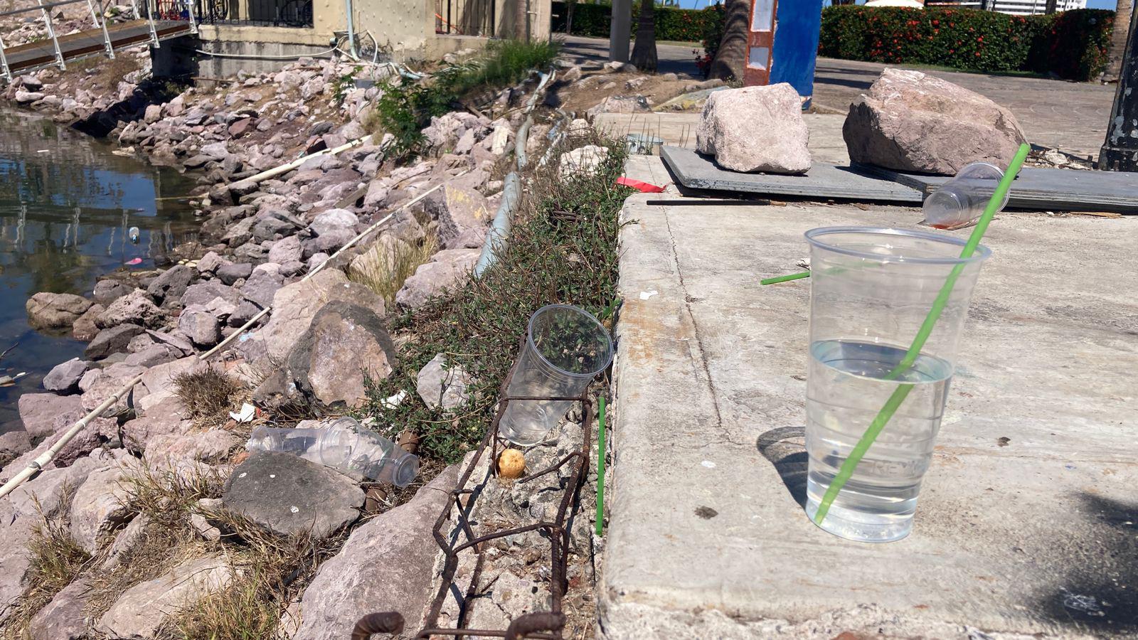 $!Marea plástica atenta contra el ecosistema marino: ambientalista