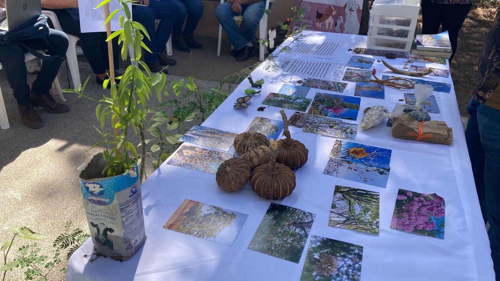 $!Fomentan la conservación de la flora nativa de la región con el programa Guardianes del Medio Ambiente