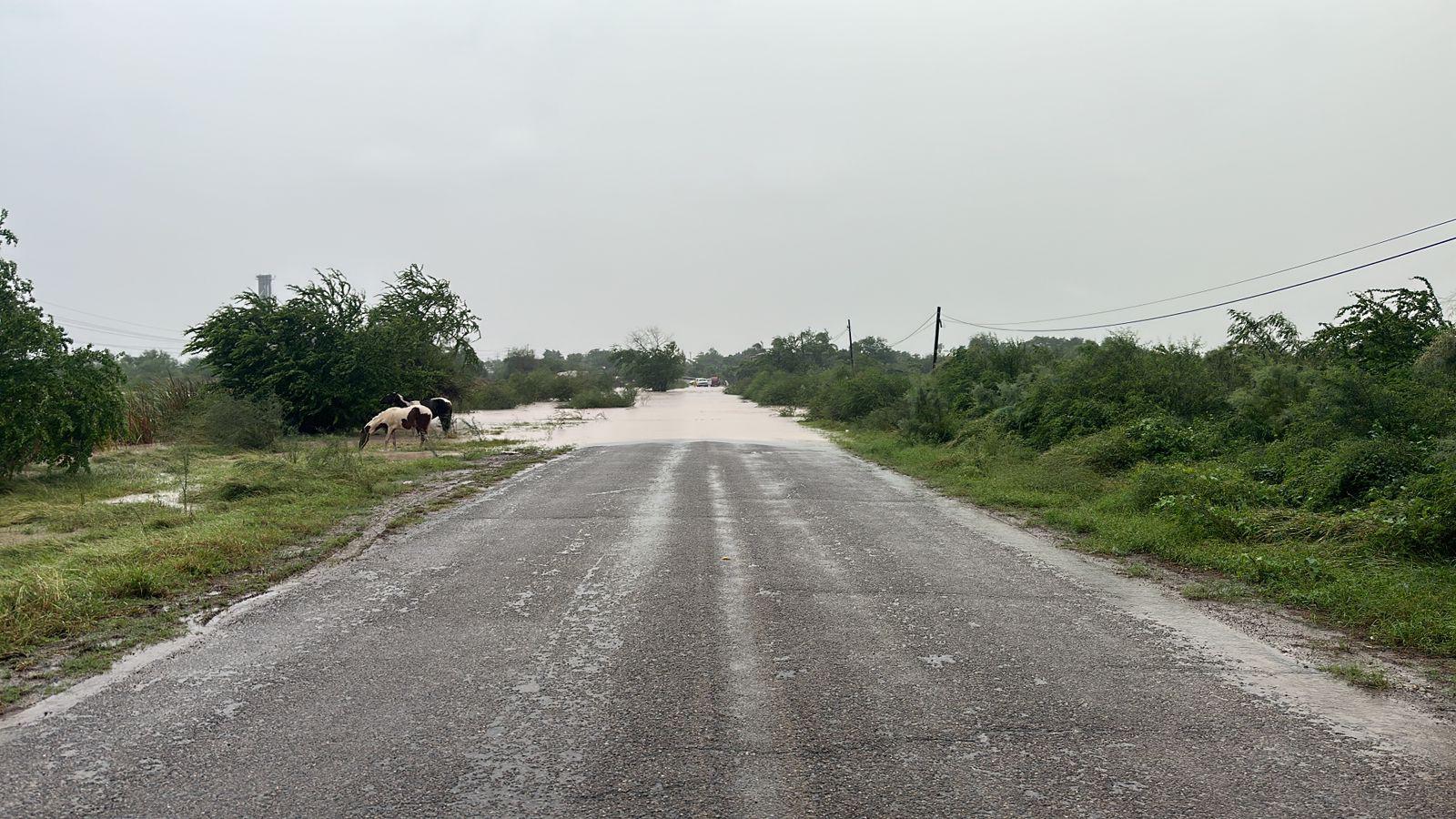 $!Se desborda dren en Costa Rica y arroyo en El Limón de los Ramos; hay 40 evacuados