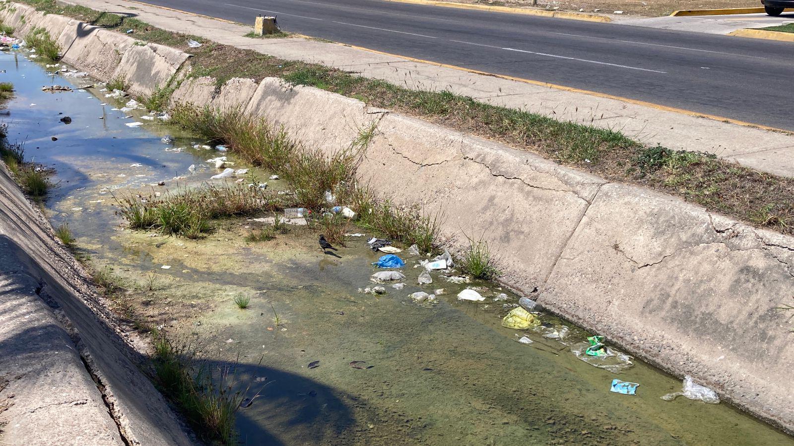 $!Basura y maleza persisten en arroyos de Mazatlán previo a la temporada de lluvias