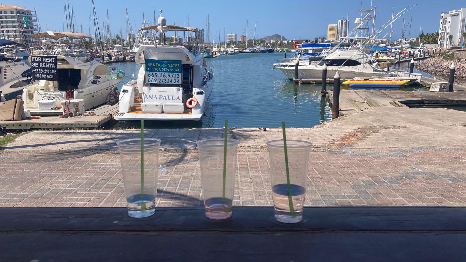 $!Marea plástica atenta contra el ecosistema marino: ambientalista