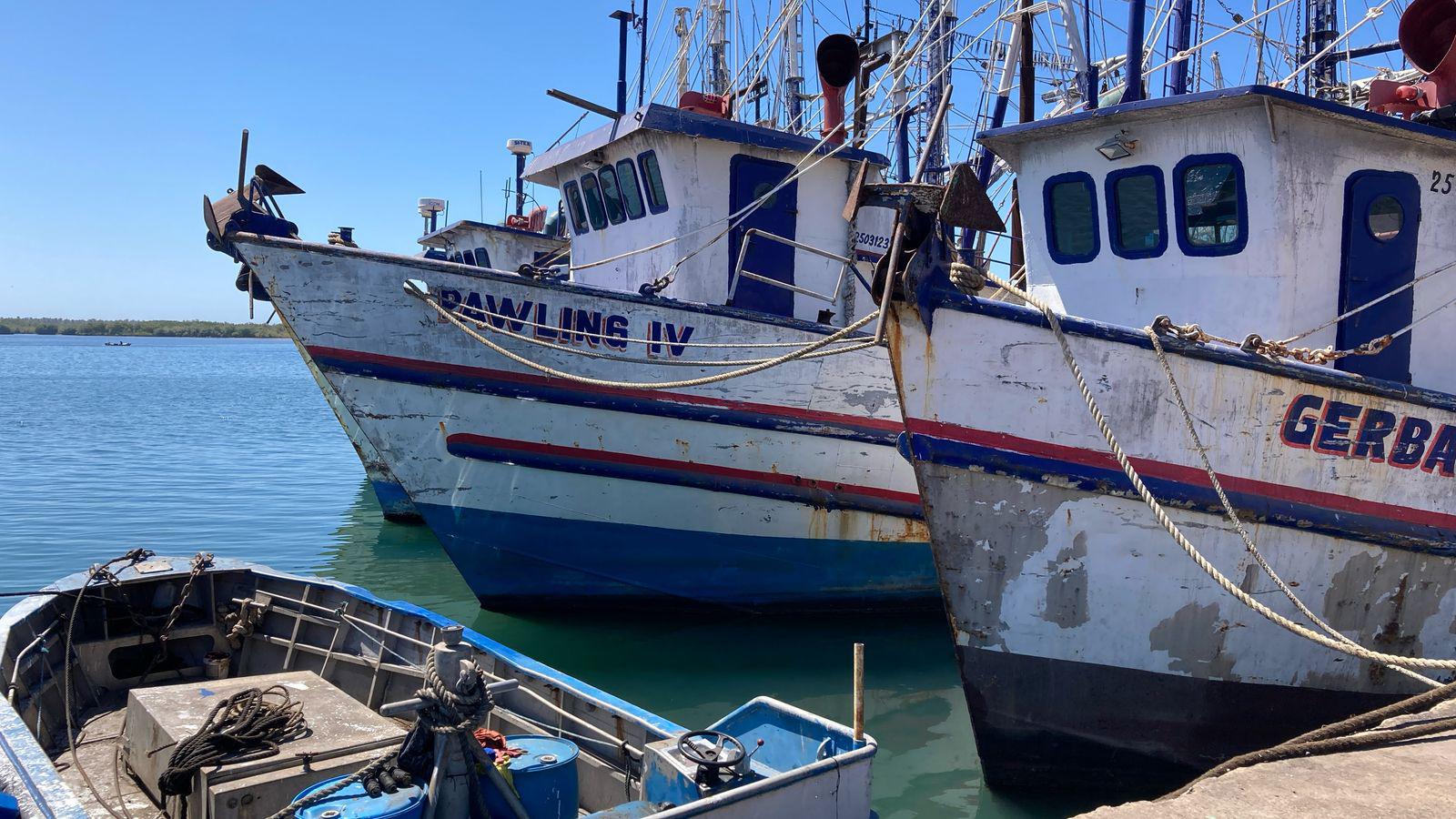 $!Industria camaronera de Mazatlán flota en un mar de crisis