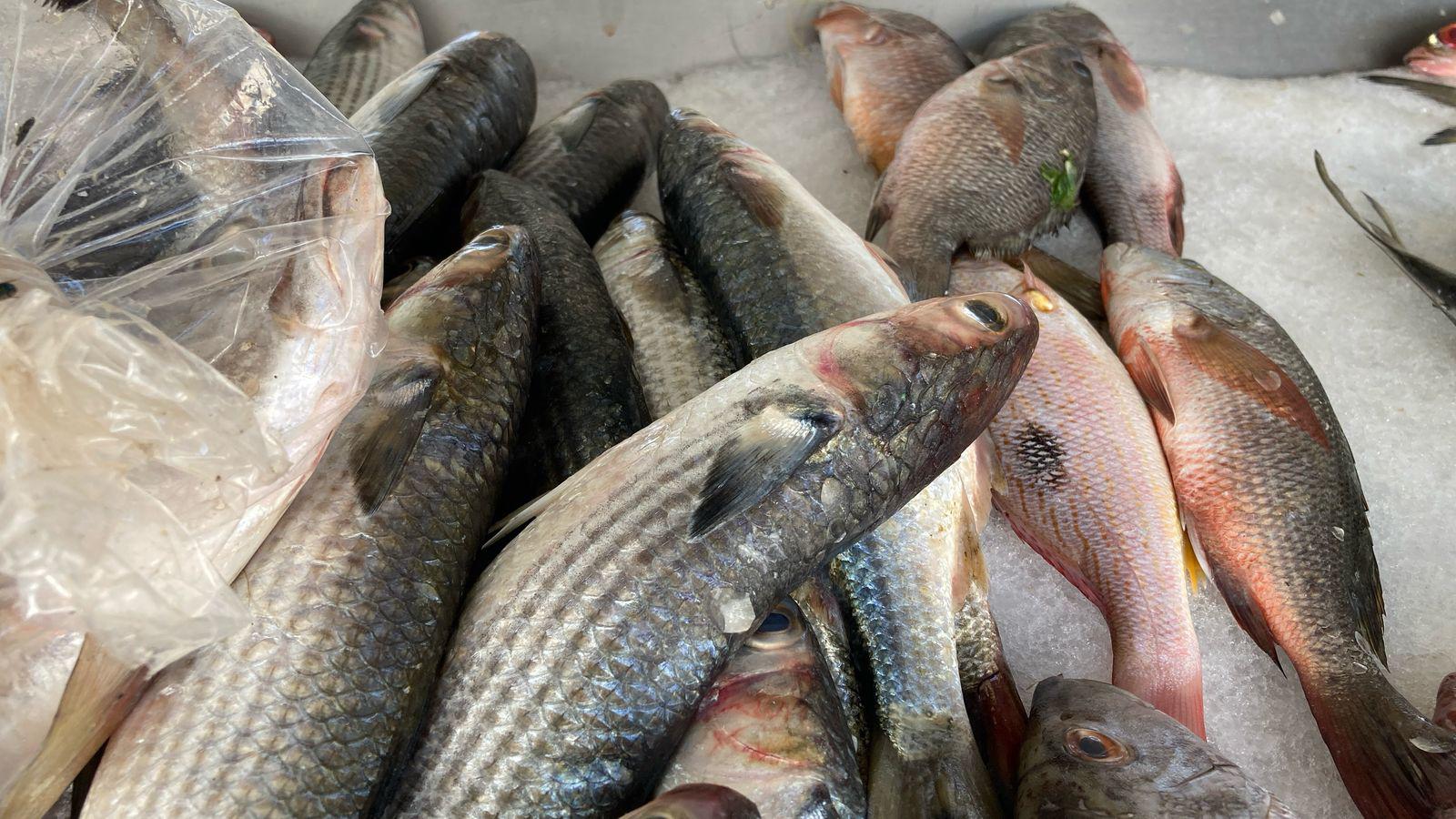 $!Comerciantes del embarcadero de Isla de la Piedra reportan aumento del 50% en ventas durante el Carnaval