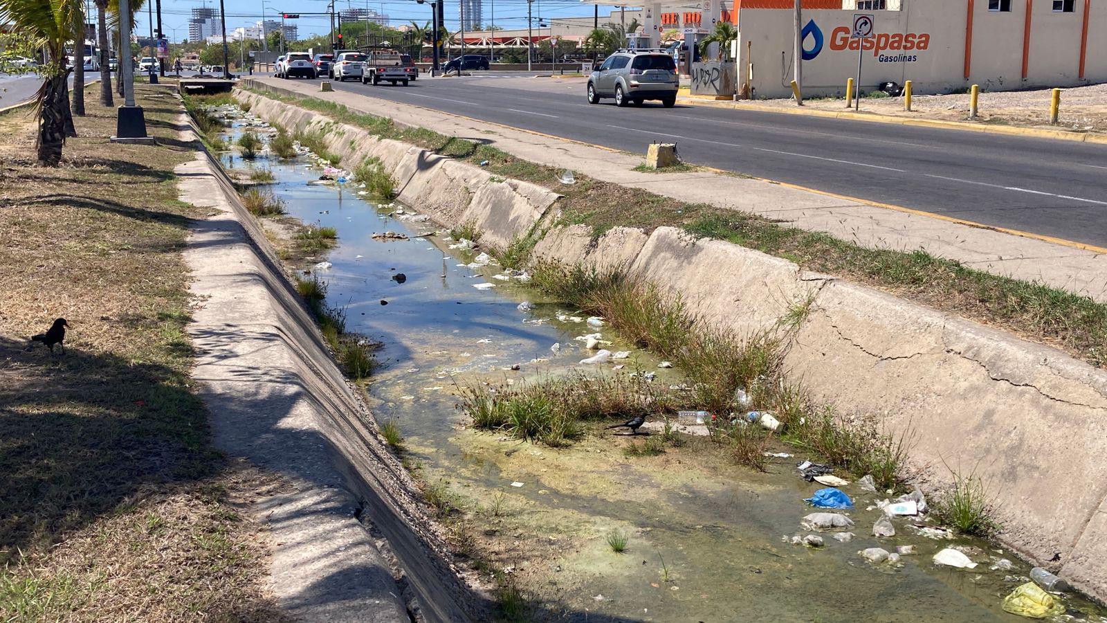 $!Basura y maleza persisten en arroyos de Mazatlán previo a la temporada de lluvias