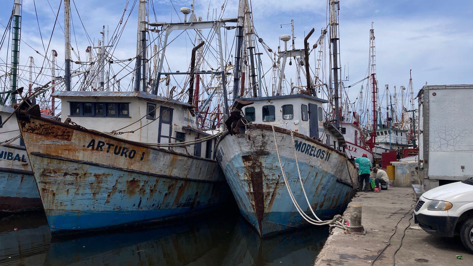 $!Camaroneros realizan pruebas de motor y refrigeración, a dos semanas de iniciar capturas