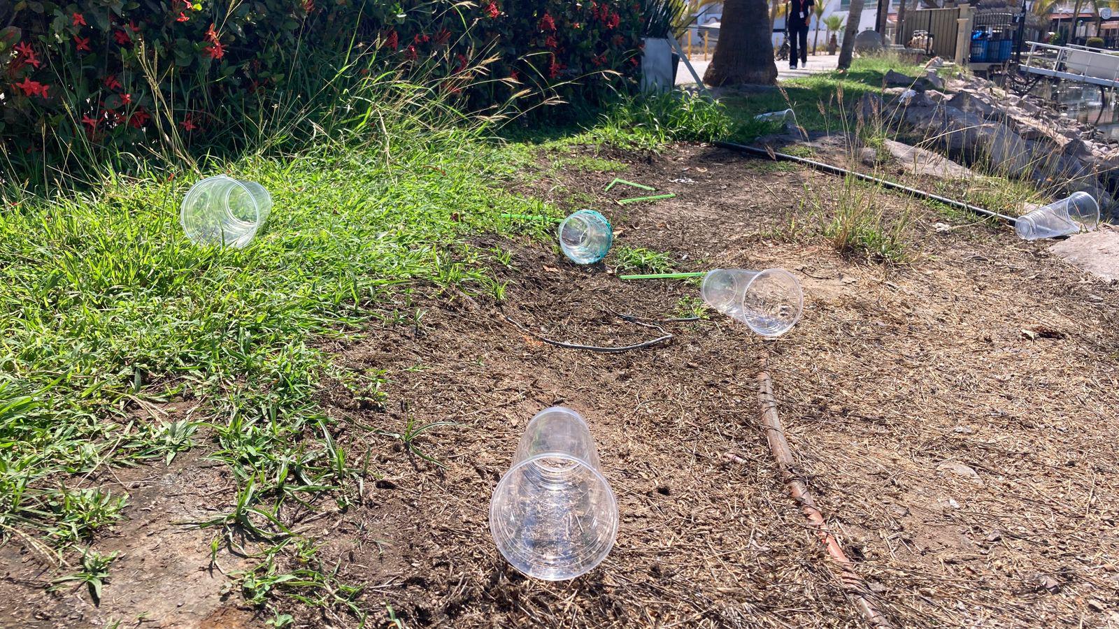 $!Marea plástica atenta contra el ecosistema marino: ambientalista