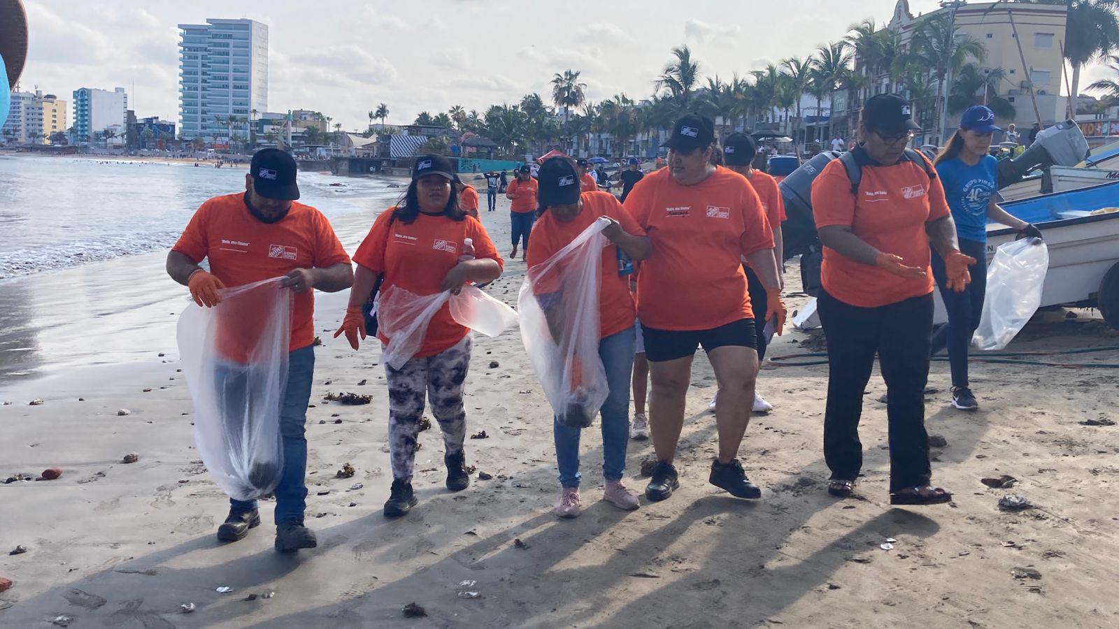 $!Brigada masiva limpia 16 kilómetros de playa, en Mazatlán