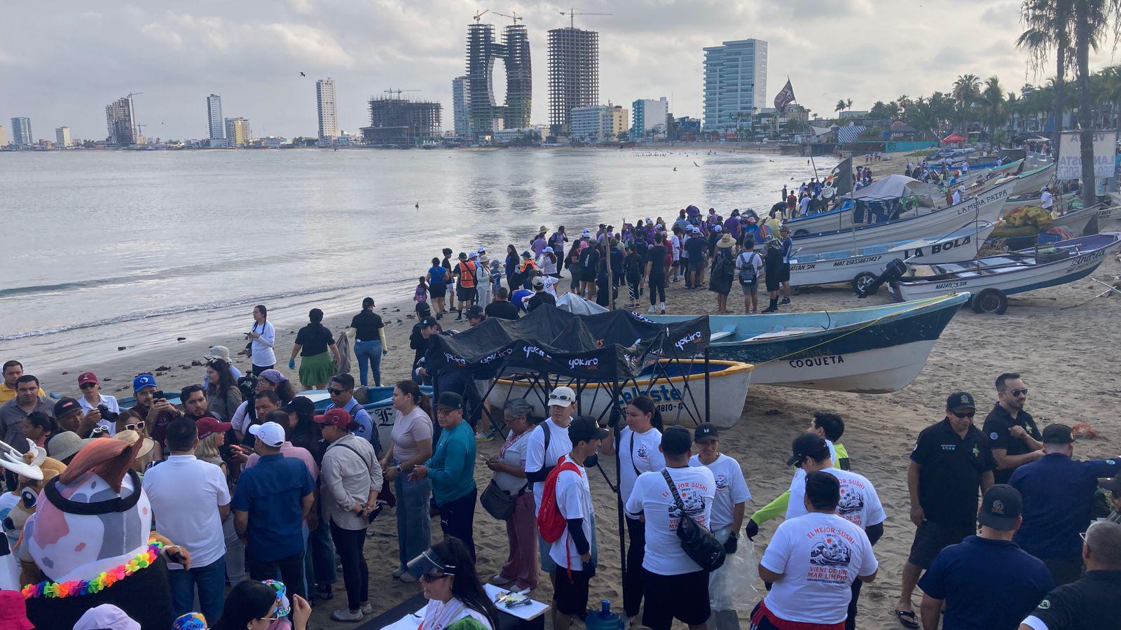 $!Brigada masiva limpia 16 kilómetros de playa, en Mazatlán