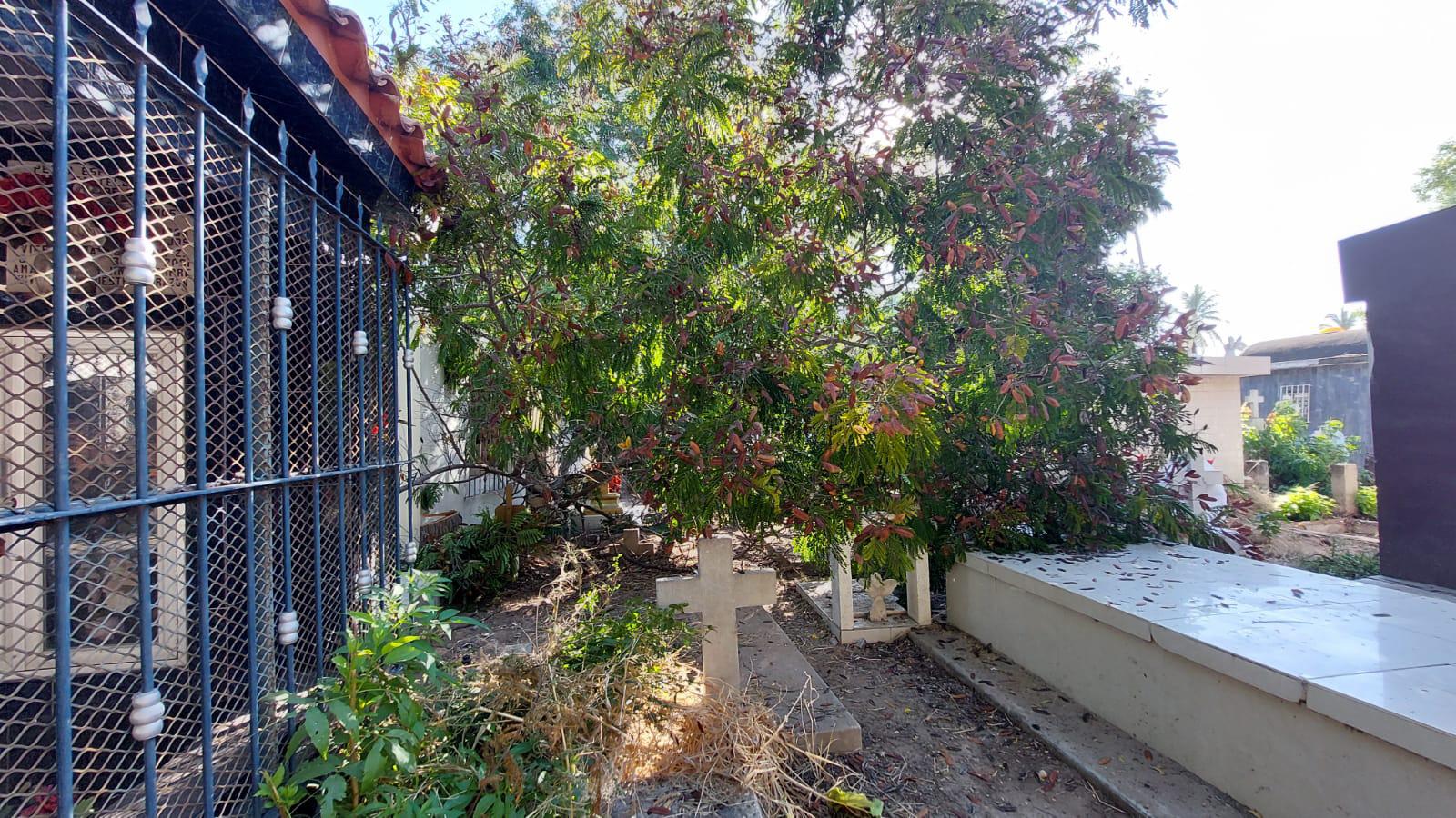 $!Visitan a sus muertos y encuentran un panteón sucio y descuidado en Guasave