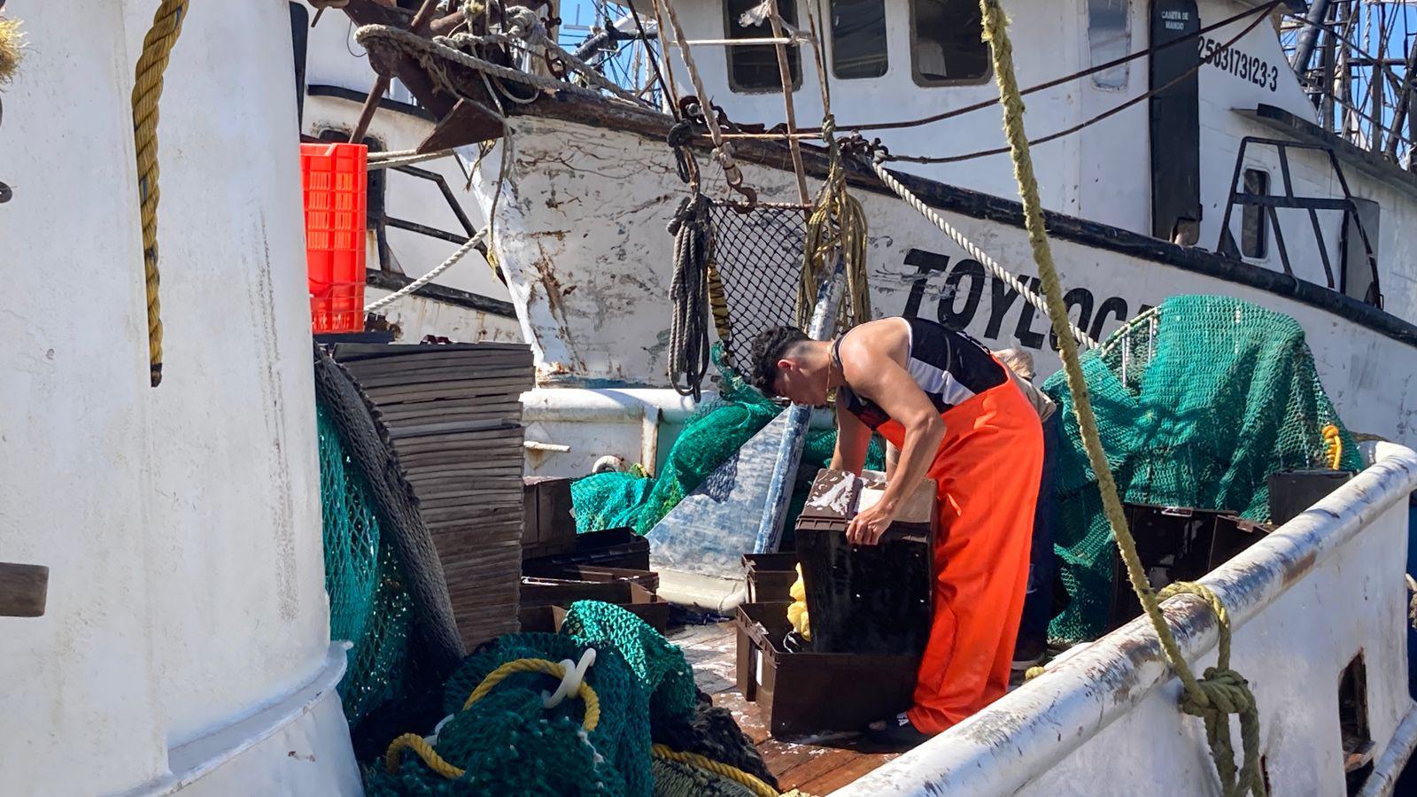 $!Camaroneros de Mazatlán zarpan por su último viaje de la temporada