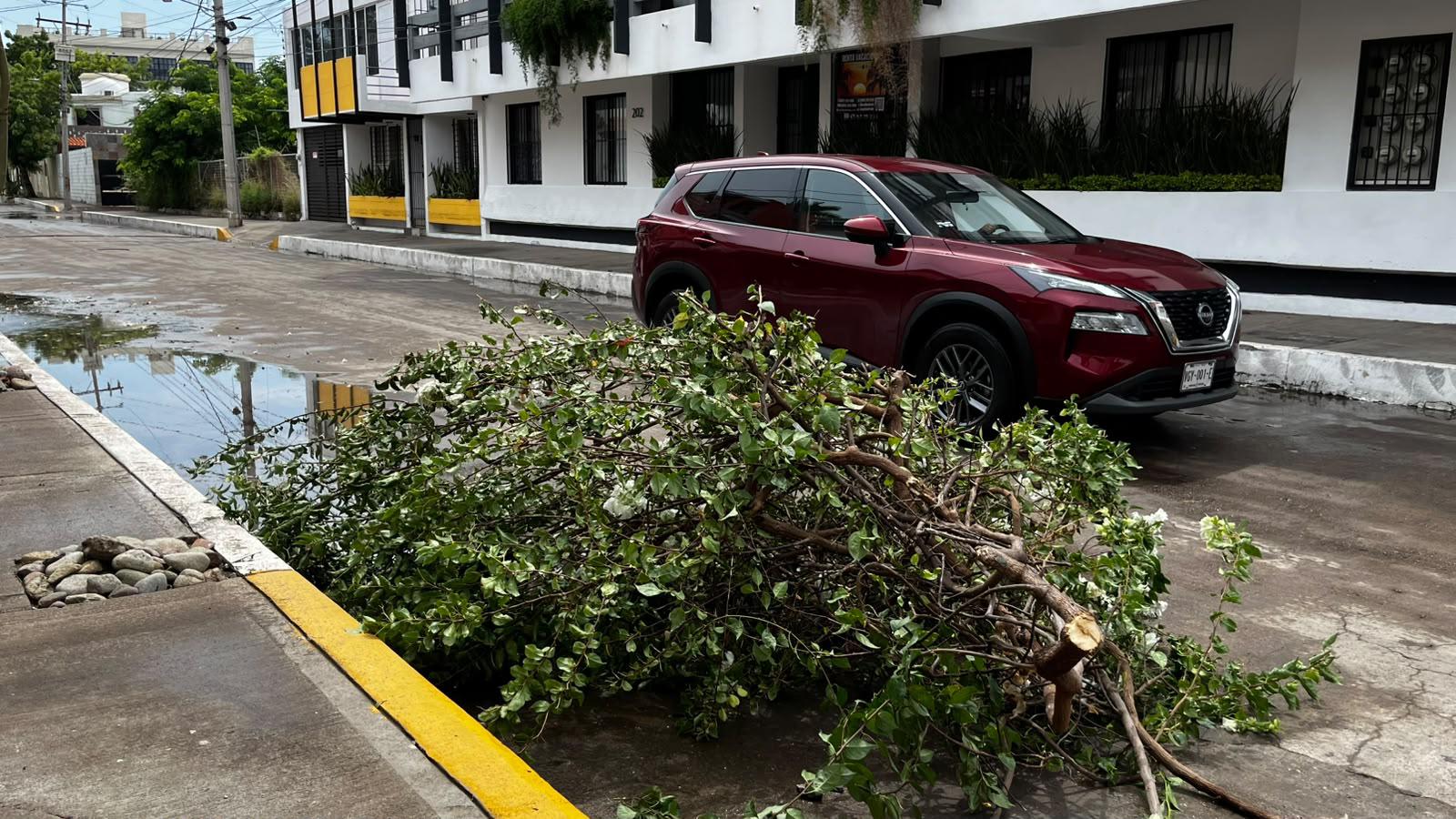 $!Lluvias vuelven a rebasar infraestructura pluvial dejando inundaciones y afectaciones en distintas zonas de Mazatlán