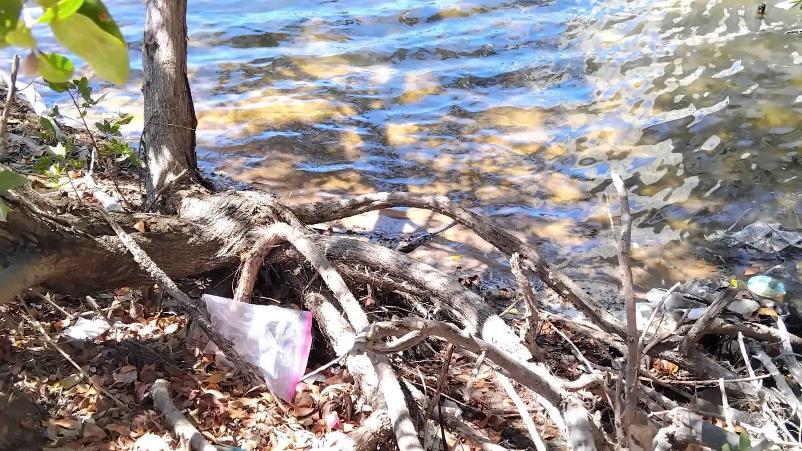 $!Basura invade el estero del Yugo y amenaza su ecosistema