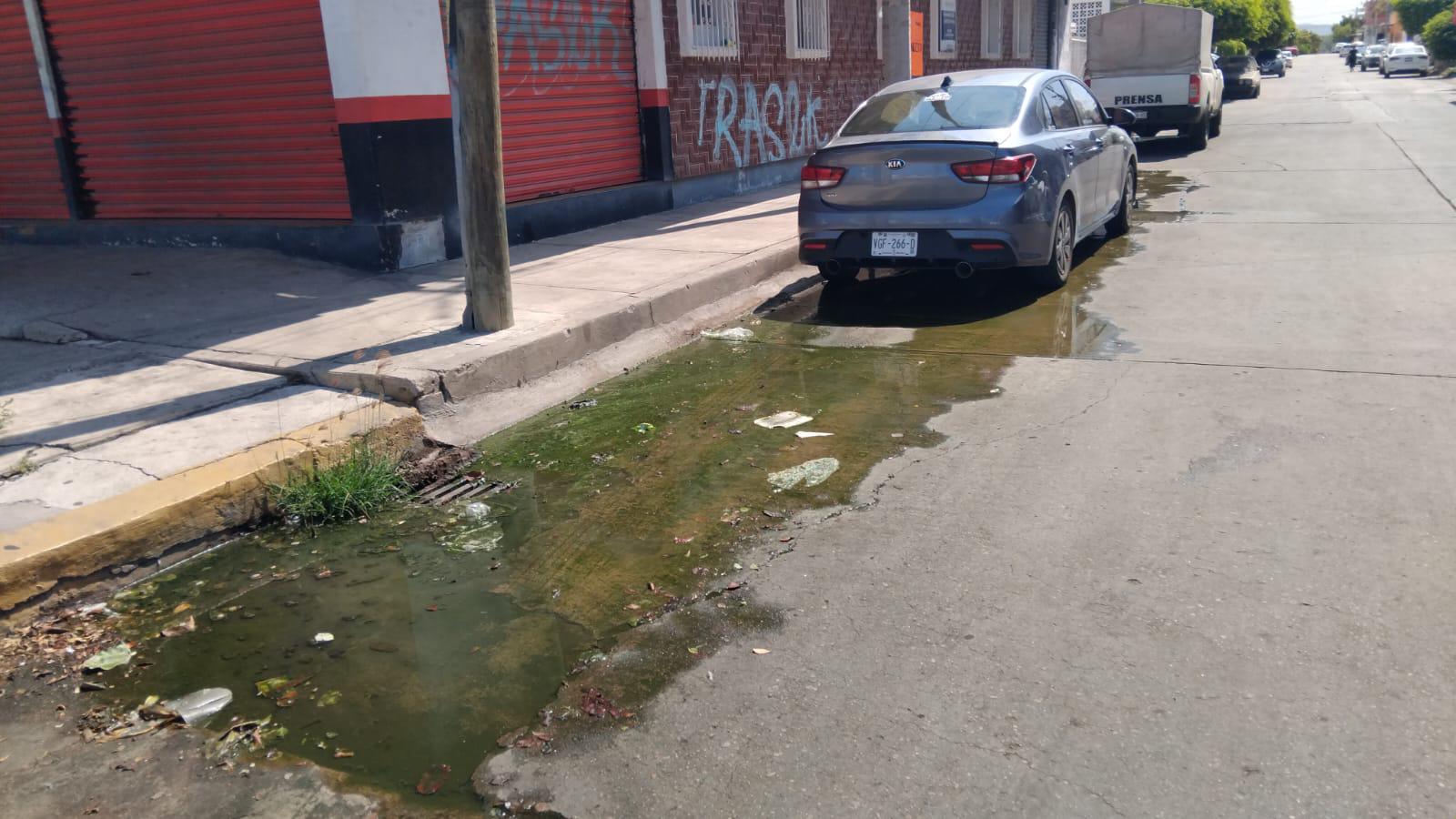$!Pestilencia y contaminación deja una fuga de drenaje en la calle Río de la Plata de Campo Bello