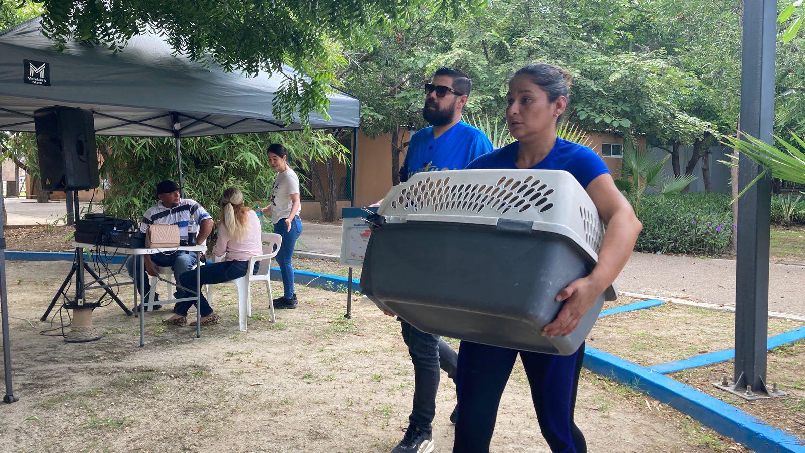 $!En conmemoración del ‘Día del Perro’, celebran campaña de adopción, esterilización y Café Científico en Mazatlán