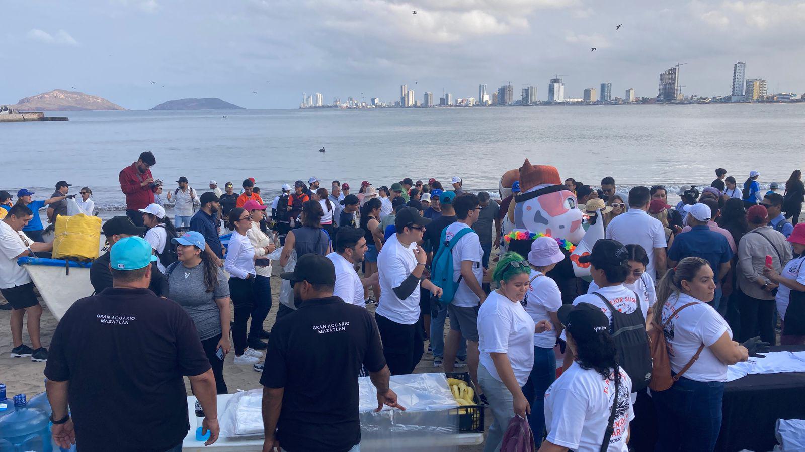 $!Brigada masiva limpia 16 kilómetros de playa, en Mazatlán
