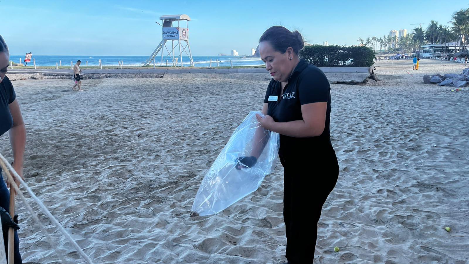 $!Refuerza Operadora de Playas acciones de limpieza en costas junto a hoteles certificados