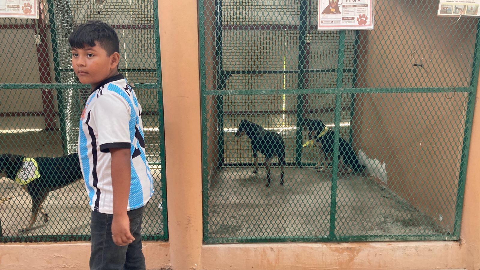 $!En conmemoración del ‘Día del Perro’, celebran campaña de adopción, esterilización y Café Científico en Mazatlán