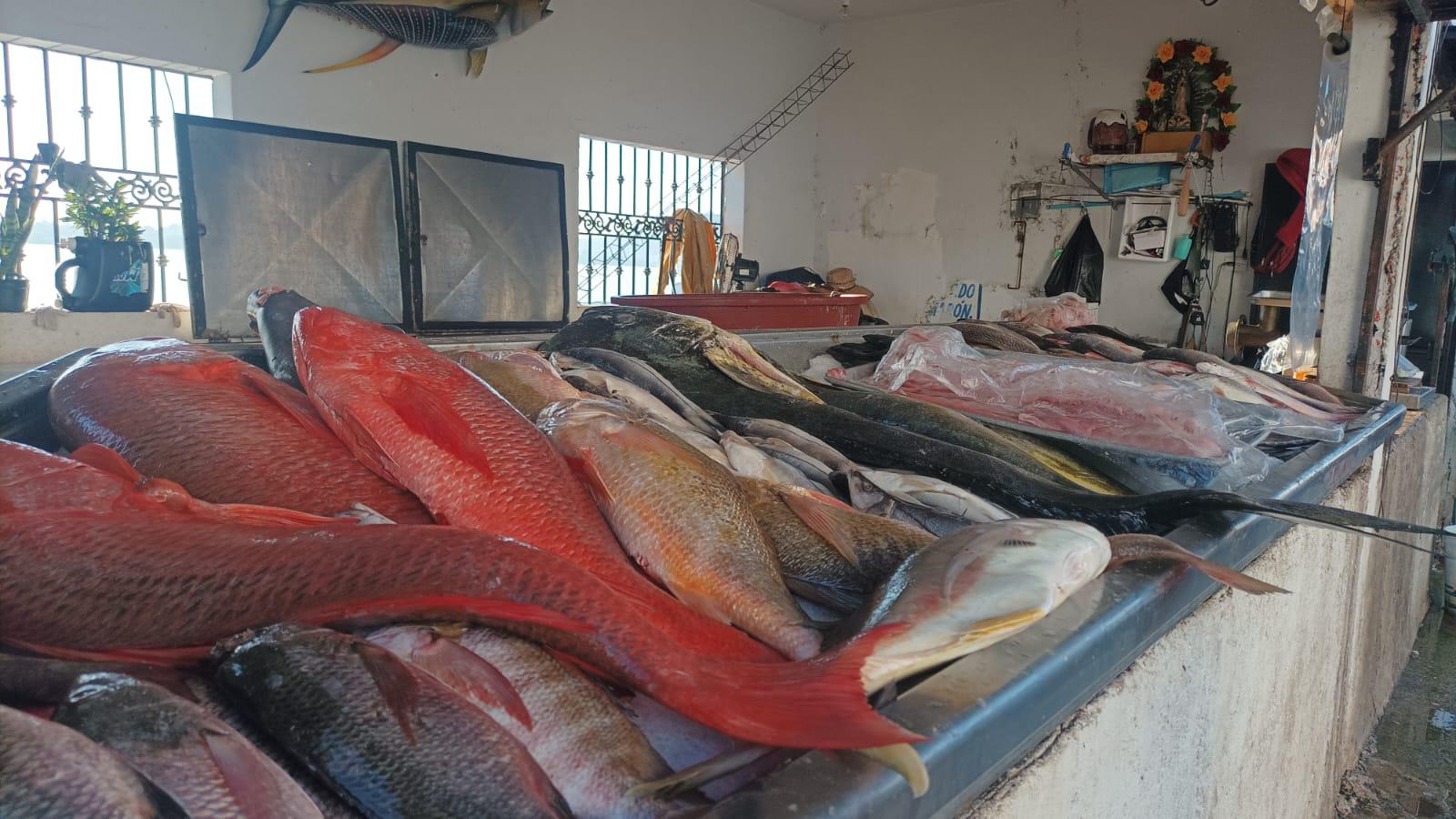 $!Esperan repunte en venta de pescado durante el Carnaval de Mazatlán