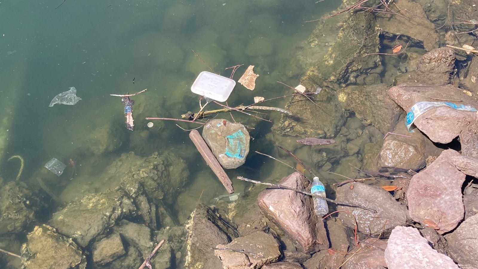 $!Marea plástica atenta contra el ecosistema marino: ambientalista