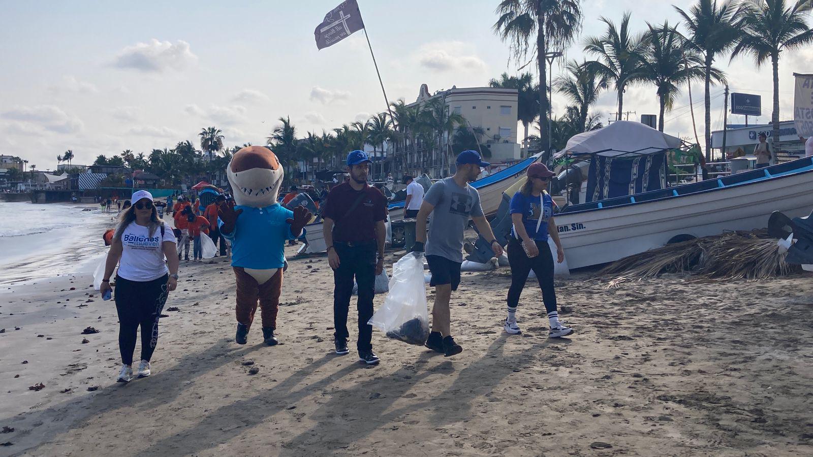 $!Brigada masiva limpia 16 kilómetros de playa, en Mazatlán