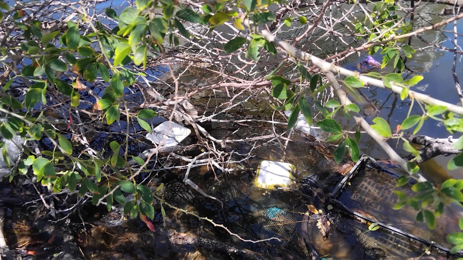 $!Basura invade el estero del Yugo y amenaza su ecosistema