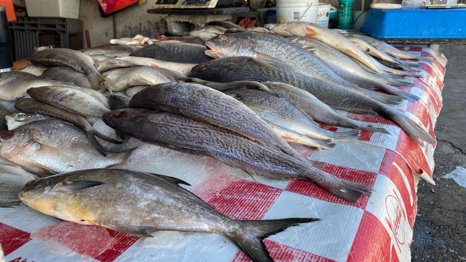 $!Comerciantes del embarcadero de Isla de la Piedra reportan aumento del 50% en ventas durante el Carnaval