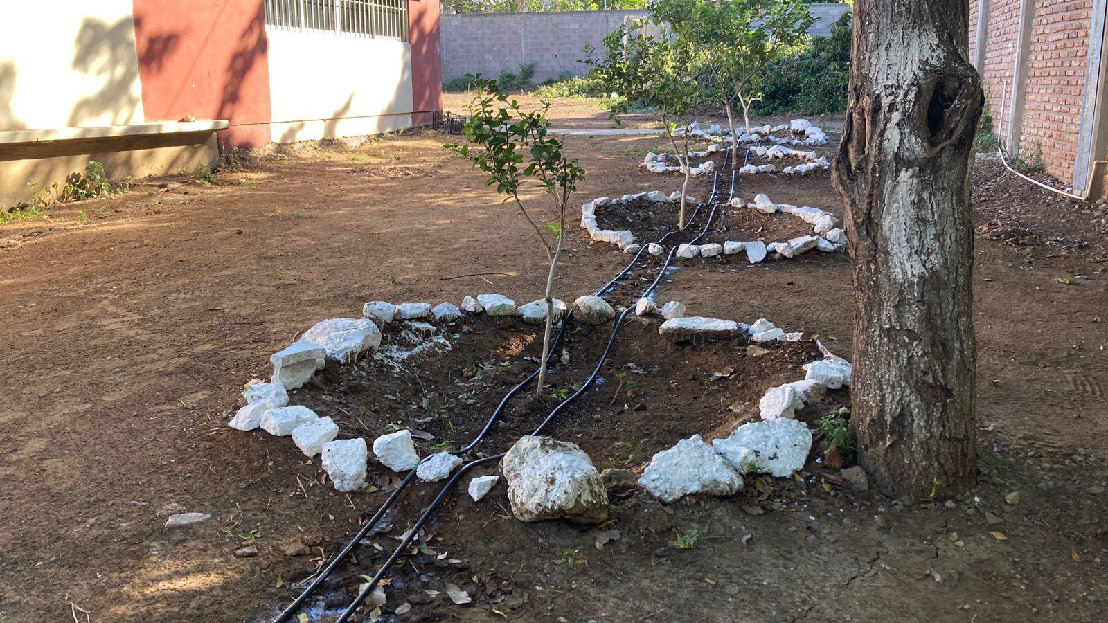 $!Inauguran en secundaria de Mazatlán sistema de acopio de lluvia