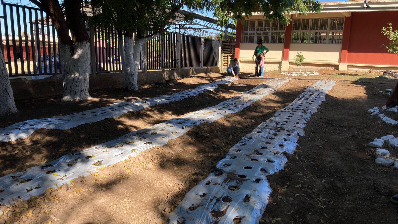 $!Inauguran en secundaria de Mazatlán sistema de acopio de lluvia