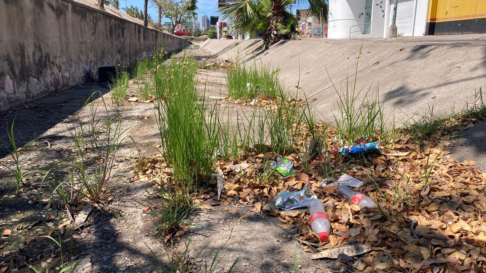 $!Basura y maleza persisten en arroyos de Mazatlán previo a la temporada de lluvias