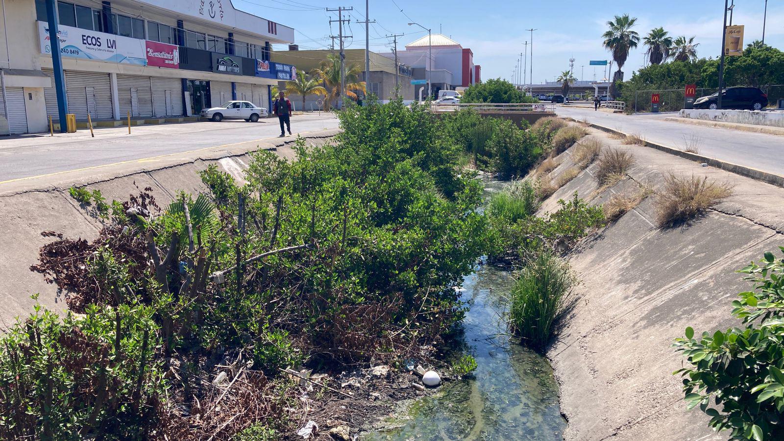 $!Basura y maleza persisten en arroyos de Mazatlán previo a la temporada de lluvias